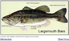 Fish ID Key - U.S. Freshwaterのおすすめ画像5