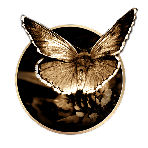 Butterfly Icon Pack logo