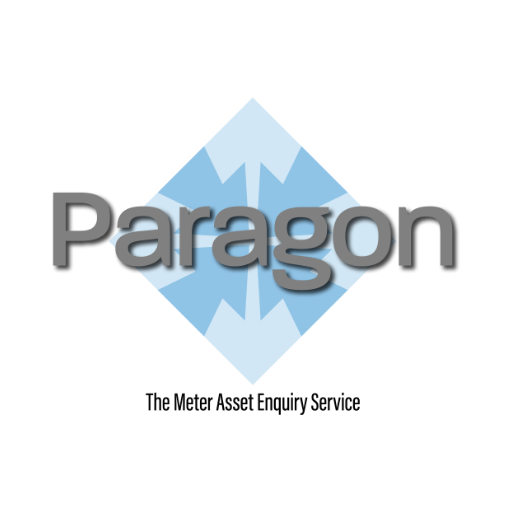 Paragon - Repat and Triage logo
