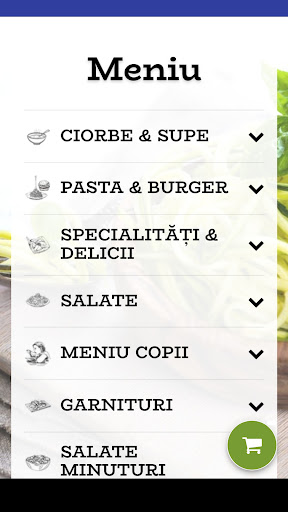 Casa Pitorească Screenshot