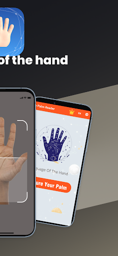 Live Palm Reader Screen 2