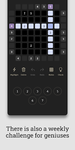 Skyscrapers Number Puzzle Tawa Screenshot 3