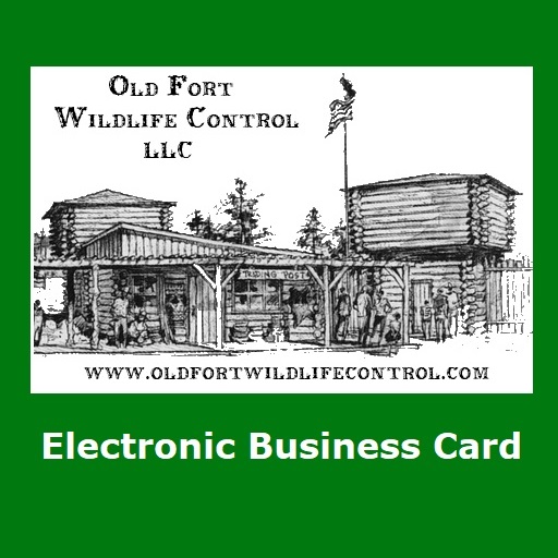 Old Fort Wildlife Control Busi logo