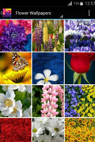 Android application Floral wallpapers screenshort