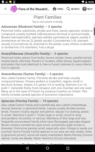 Screenshot of Flora of the Wasatch