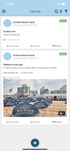Beach Live Screen 2