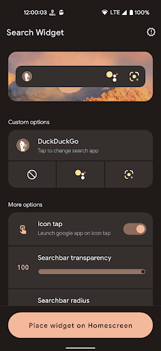 Screenshot of Search Widget (Material You)