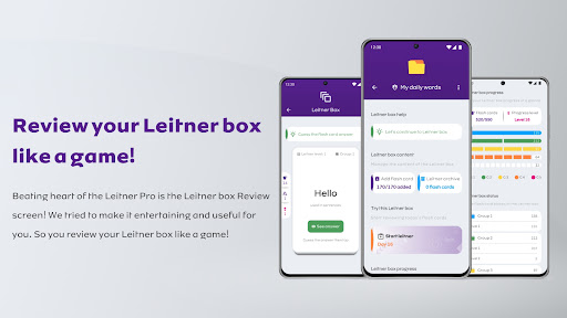 Leitner Pro Learn like a Pro