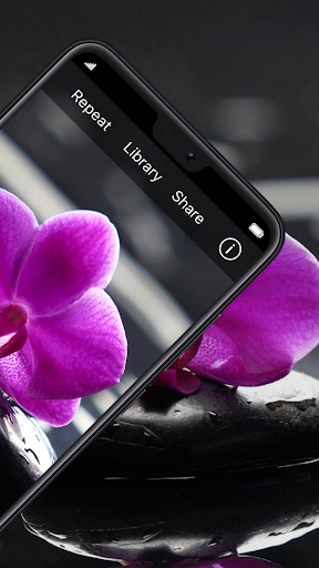 TapTapSee Screen 3