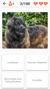 Dog Breeds - Quiz about dogs! 1.991 APK + Mod (Unlimited money) إلى عن على ذكري المظهر