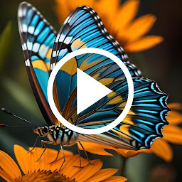 Icon image Butterfly Video Wallpaper RZDO