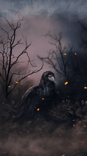 Black Raven - Wallpaper Screen 2