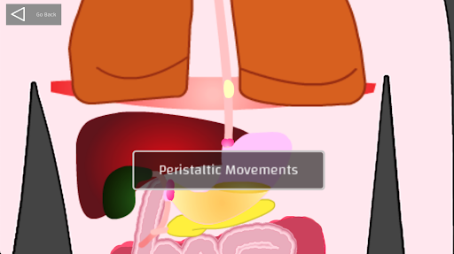 Android application Digestive System screenshort