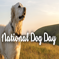 Dog day 2021 - National Dog da