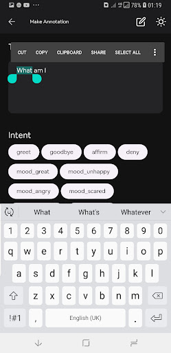 SOMA NLP Annotator Screen 3