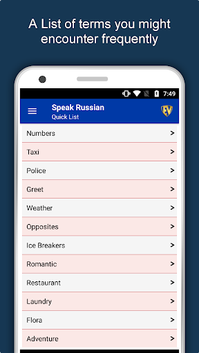Screenshot of Learn Russian Language Offline