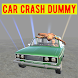 Car Crash Dummy