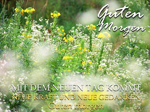Android application German Good Morning Night screenshort