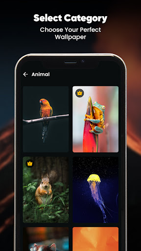 Live Wallpapers, 4K Wallpapers Screen 2