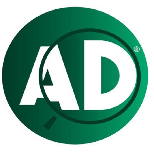 PEAD - Auditoria Digital logo