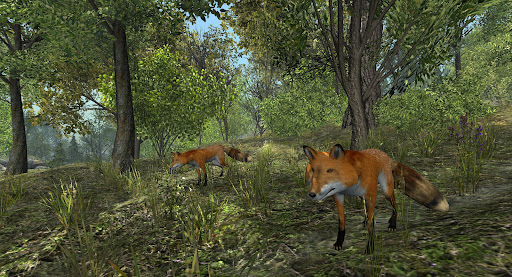 VR ZOO Safari Park Animal Game Screen 3