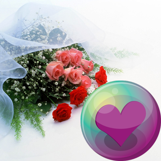 Wedding HD Wallpapers logo