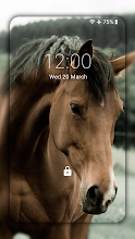 Pferd Wallpaper Hd Hintergrunde Themen Apps Bei Google Play
