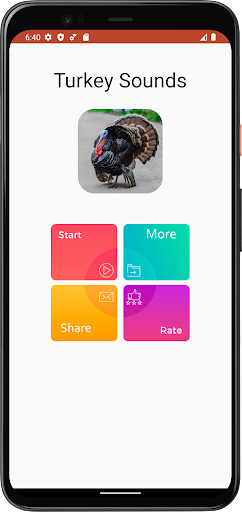 Turkey Sounds Screen 2