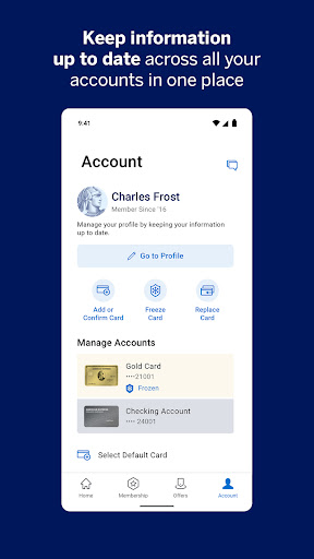 Amex screenshot 2