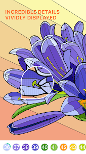 Tap Coloring - Color by Number