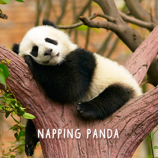 Napping Panda Theme logo