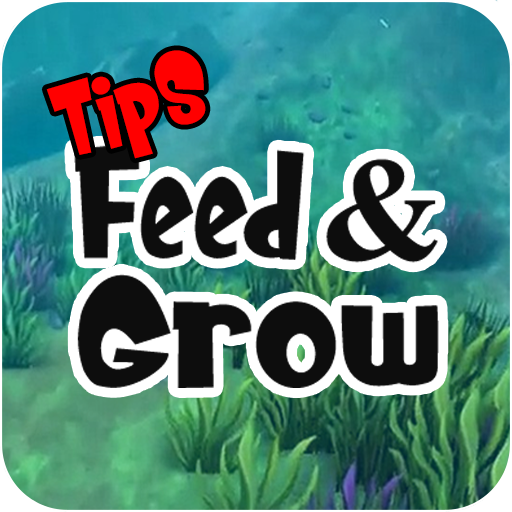 Baixar Feed and Grow Fish Feed para PC - LDPlayer