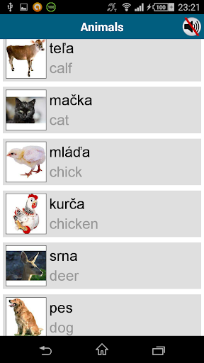 Screenshot of Learn Slovak - 50 languages