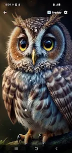 Owl Beautiful Wallpaper