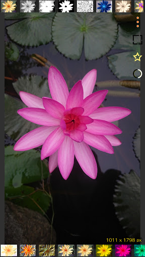 Android application XiBum screenshort