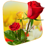Cover Image of ダウンロード 360 Flower live wallpaper 3D  APK