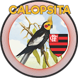 CALOPSITA - FLA icon