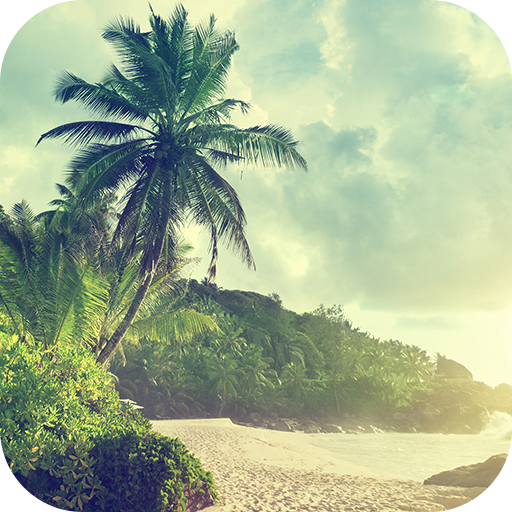 Summer Wallpapers logo