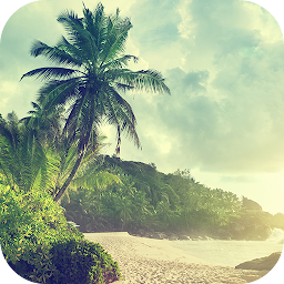 Icon image Summer Wallpapers
