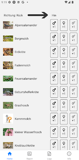 Android application Rettet die Frösche screenshort