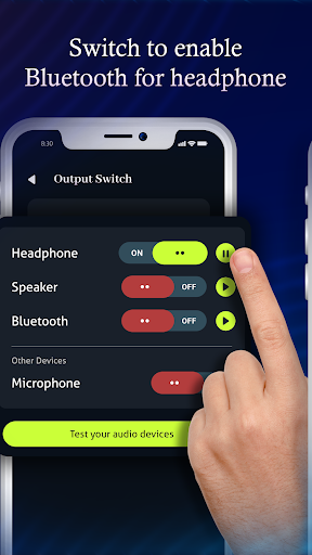 Audio Switch & Audio Test Screen 2
