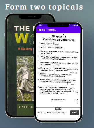 History: Topical Questions Screen 2