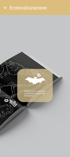 Android application Bat-pop-aApp screenshort