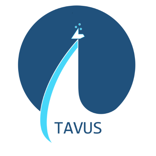 Tavus Innovation - Google Play 앱