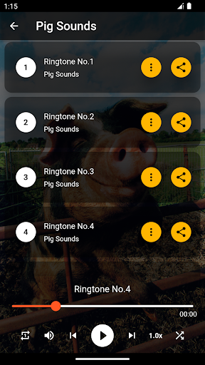 Pig Sounds & Ringtones Screen 3