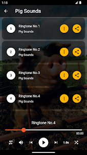 Pig Sounds & Ringtones