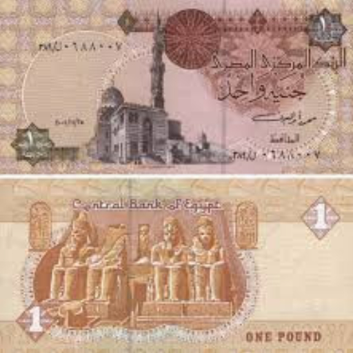 الجنيه المصري logo