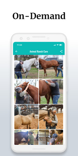 Animal Ranch Care Screen 2