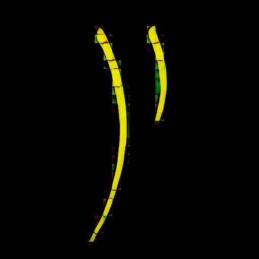 Diego Pavan logo