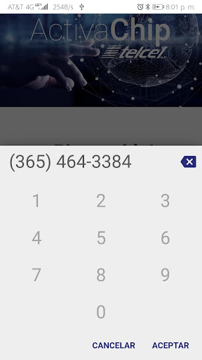Activa Chip Screen 2